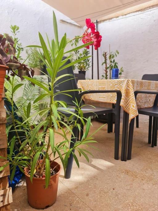Estancia De Ensueno Y Relax Parking Gratuito Granada Luaran gambar