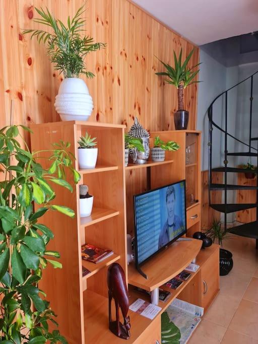 Estancia De Ensueno Y Relax Parking Gratuito Granada Luaran gambar